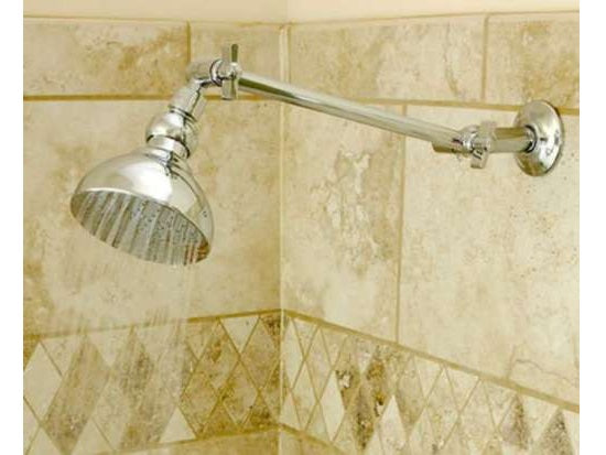 Danze Shower Head