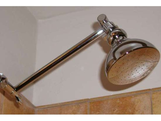 Danze Shower Head